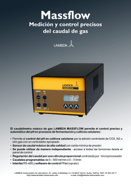 LAMBDA MASSFLOW - caudalímetro de gas