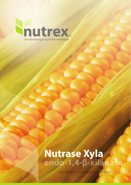 Nutrase xyla | una enzima, un mundo de beneficios