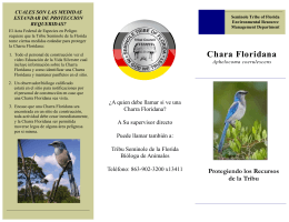 Chara Floridana - Seminole Tribe of Florida