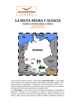 LA SELVA NEGRA Y ALSACIA _más información