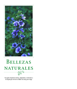 Bellezas naturales: Una guía de plantas nativas