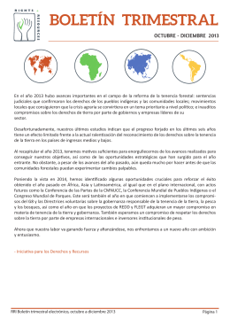 Q4.2013 Spanish_b - Rights and Resources Initiative
