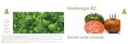Montenegro RZ (PDF 0,4 MB)