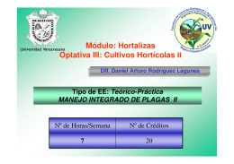 Horta04.II - Universidad Veracruzana