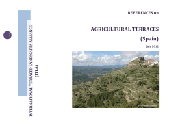 AGRICULTURAL TERRACES (Spain)