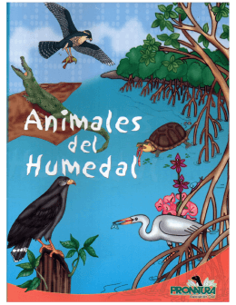 Libro para colorear "Animales del humedal" PDF