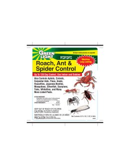 Roach, Ant & Spider Control