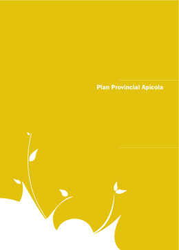 Plan Provincial Apícola