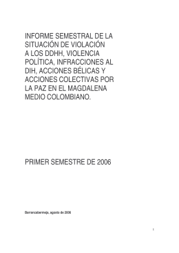 Final de Informe_primer_semes_2006_120906