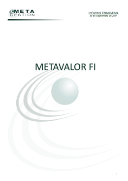 METAVALOR FI - Metagestión