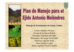 Plan de Manejo Antonio Melendres y Anexos
