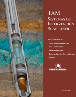 Scab Liner 1 - TAM International
