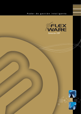 e-Flexware - Sistemas Bejerman