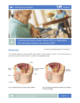 Descarga - EAU Patient Information