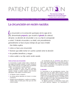 Patient Education Pamphlet, SP039, La circuncisión en recién nacidos
