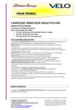 FT LARROQUE OENOLOGIE BISULFITO 600