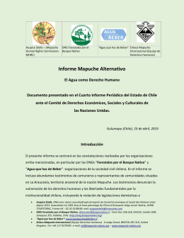 Informe Mapuche Alternativo