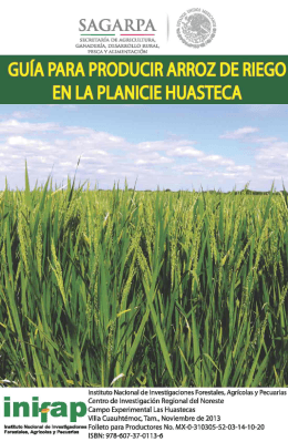 folleto para productores guía para producir arroz - Biblioteca