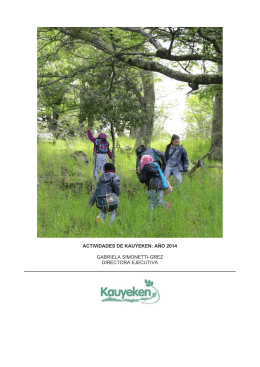 Informe Actividades Kauyeken 2014