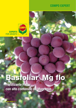Basfoliar® Mg flo