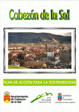 Esquema-resumen Plan de Accion - Ayuntamiento de Cabezón de