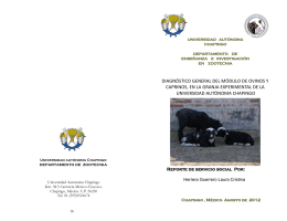 diagnóstico general del módulo de ovinos y caprinos, en la granja