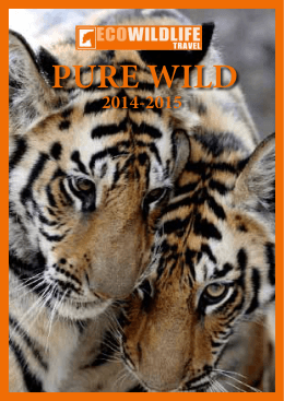 índice pure wild - Ecowildlife India