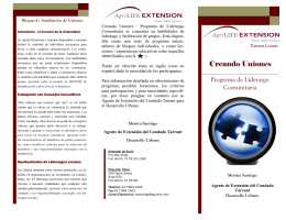 Building Connections Informational Brochure Spanish