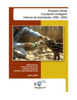 Proyecto Danta - Fundación AndígenA: informe de actividades 1999