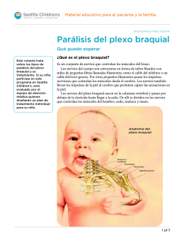 PE1025S Brachial Plexus Palsy - Spanish