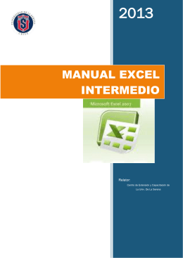 Excel 2013 - Tierravirtual