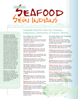 Guide to Seafood of the Seri Indians