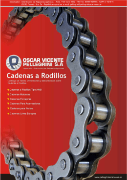 Catálogo Técnico de Cadenas a Rodillos
