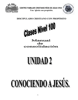 02. PDF. Manual de consolidacion