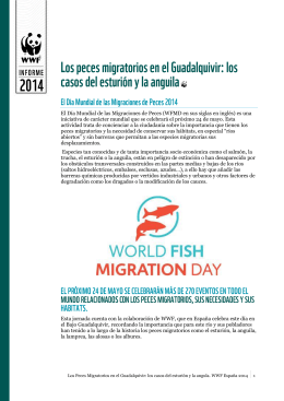 El Día Mundial de las Migraciones de Peces (WFMD en sus