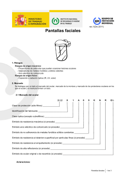 Pantallas faciales (pdf, 285 Kbytes)