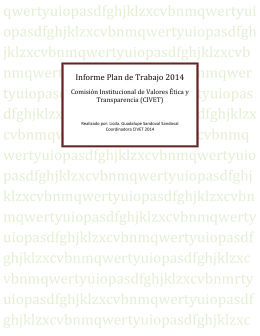 informe plan de trabajo 2014 civet