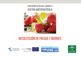 Prevención de riesgos laborales en la recolección de fresas y berries