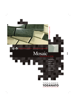 Folleto Serie Mosaic 2008