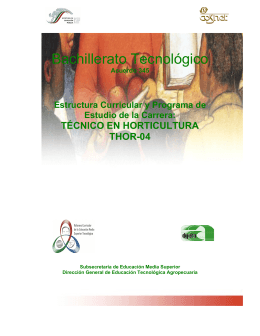 Bachillerato Tecnológico - Secretaría de Educación Pública