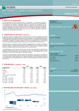 bnp paribas l1 world commodities - BNP Paribas Investment Partners