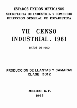 VII Censo Industrial 1961 : producción de llantas y cámaras