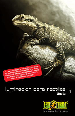 1 Iluminación para reptiles