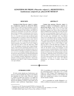 GENOTIPOS DE FRIJOL (Phaseolus vulgaris L.) RESISTENTES A