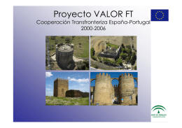 Proyecto VALOR FT