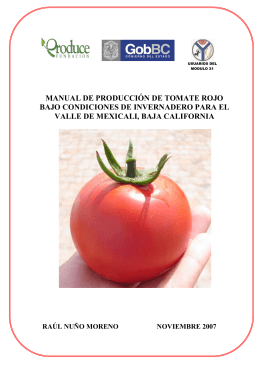 manual de producción de tomate rojo bajo