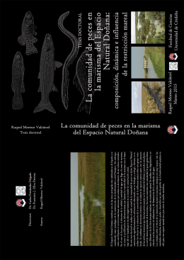 La comunidad de peces en la marisma del Espacio Natural Doñana