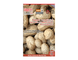 Paquete tecnologico para alta productividad de cacahuate