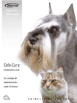 Folleto Cefa Cure - MSD Salud Animal