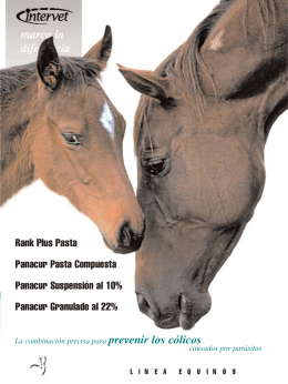 RANK (Page 5) - MSD Salud Animal
